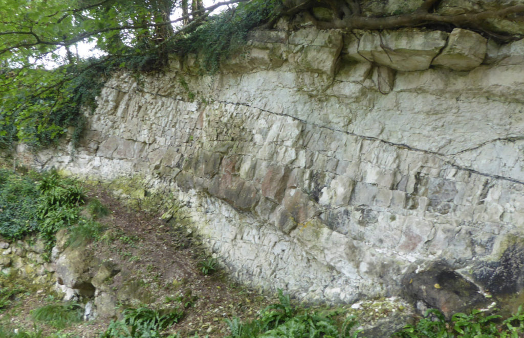 Poxwell Quarry and Limekiln DIGS Dorset's Important Geological Sites