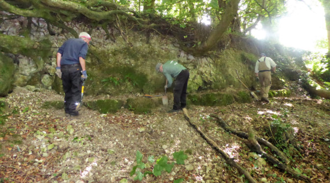 Evershot Pit Geoconservation